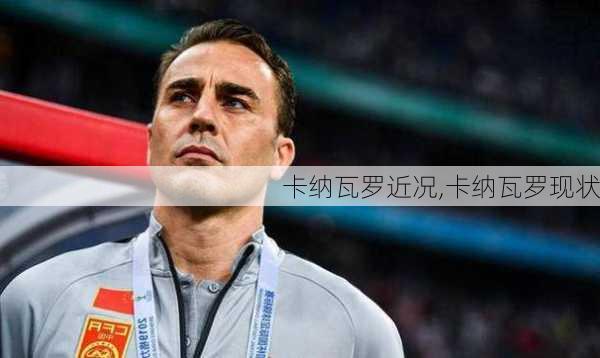 卡纳瓦罗近况,卡纳瓦罗现状