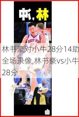 林书豪对小牛28分14助全场录像,林书豪vs小牛28分
