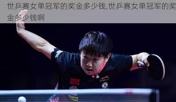 世乒赛女单冠军的奖金多少钱,世乒赛女单冠军的奖金多少钱啊