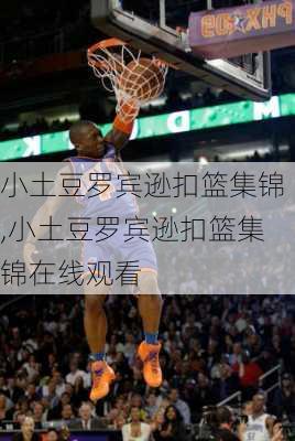 小土豆罗宾逊扣篮集锦,小土豆罗宾逊扣篮集锦在线观看