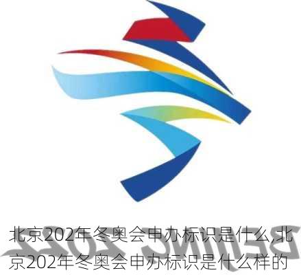 北京202年冬奥会申办标识是什么,北京202年冬奥会申办标识是什么样的
