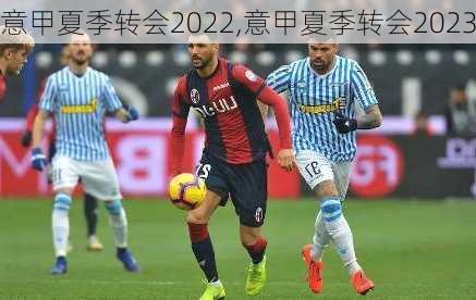 意甲夏季转会2022,意甲夏季转会2023