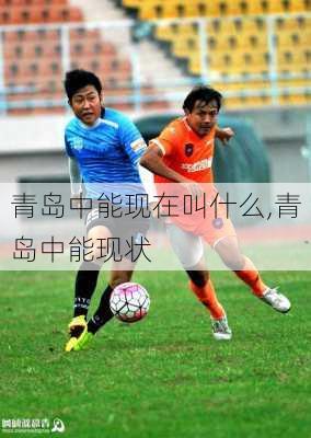 青岛中能现在叫什么,青岛中能现状