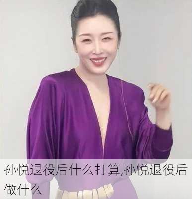 孙悦退役后什么打算,孙悦退役后做什么