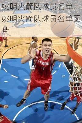 姚明火箭队球员名单,姚明火箭队球员名单图片