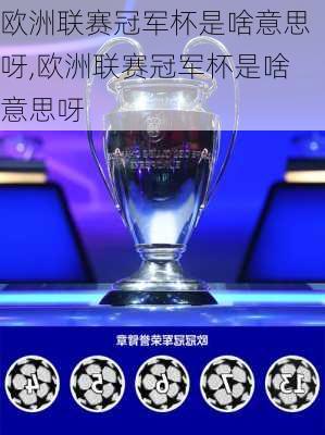 欧洲联赛冠军杯是啥意思呀,欧洲联赛冠军杯是啥意思呀