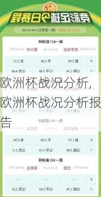 欧洲杯战况分析,欧洲杯战况分析报告