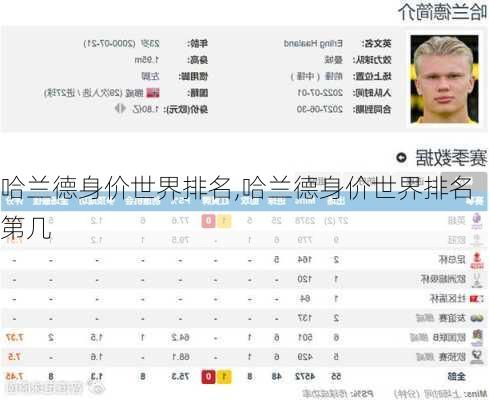 哈兰德身价世界排名,哈兰德身价世界排名第几