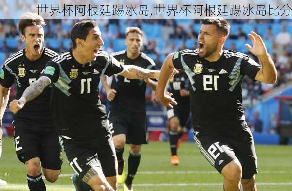 世界杯阿根廷踢冰岛,世界杯阿根廷踢冰岛比分