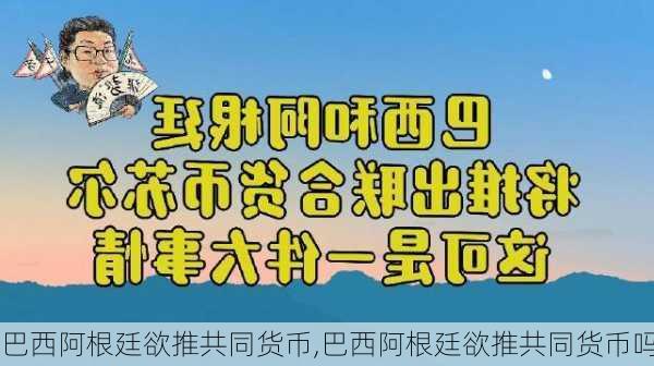 巴西阿根廷欲推共同货币,巴西阿根廷欲推共同货币吗