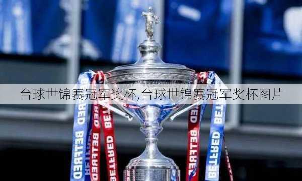 台球世锦赛冠军奖杯,台球世锦赛冠军奖杯图片