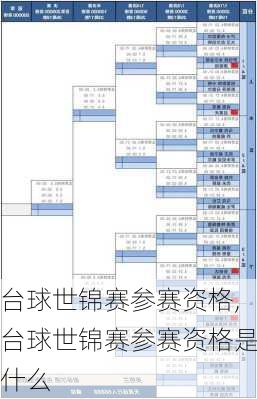 台球世锦赛参赛资格,台球世锦赛参赛资格是什么