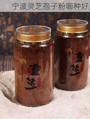 宁波灵芝孢子粉哪种好,