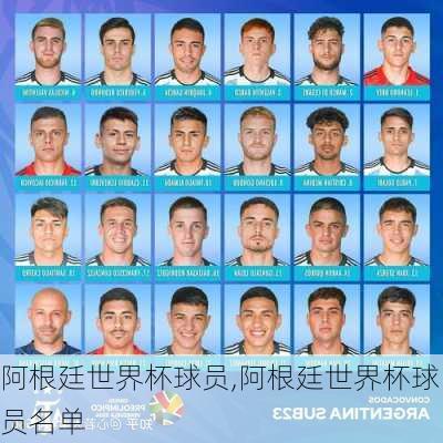 阿根廷世界杯球员,阿根廷世界杯球员名单