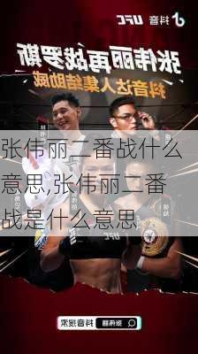 张伟丽二番战什么意思,张伟丽二番战是什么意思