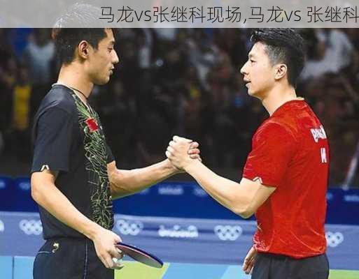 马龙vs张继科现场,马龙vs 张继科