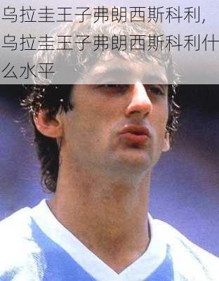 乌拉圭王子弗朗西斯科利,乌拉圭王子弗朗西斯科利什么水平