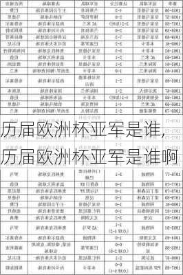 历届欧洲杯亚军是谁,历届欧洲杯亚军是谁啊