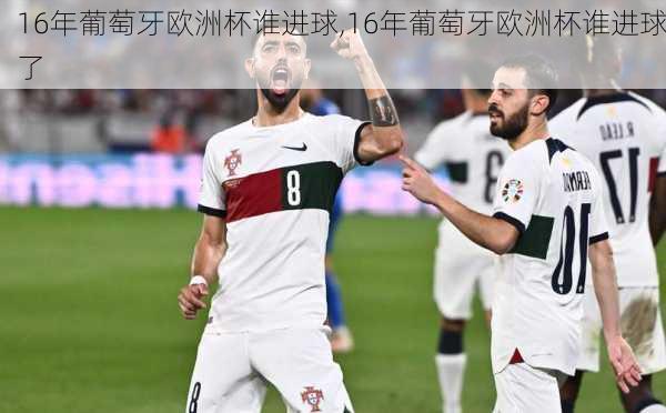 16年葡萄牙欧洲杯谁进球,16年葡萄牙欧洲杯谁进球了