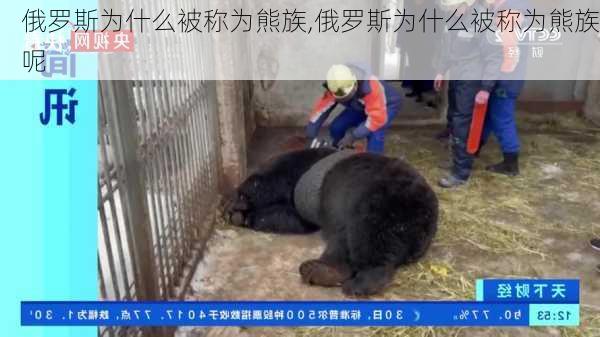 俄罗斯为什么被称为熊族,俄罗斯为什么被称为熊族呢