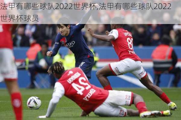 法甲有哪些球队2022世界杯,法甲有哪些球队2022世界杯球员