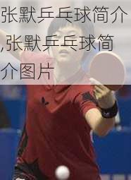张默乒乓球简介,张默乒乓球简介图片