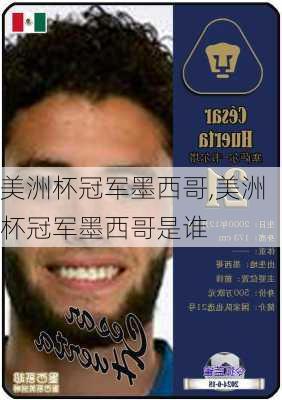 美洲杯冠军墨西哥,美洲杯冠军墨西哥是谁