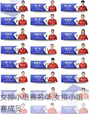 女排小组赛名单,女排小组赛成员