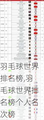 羽毛球世界排名榜,羽毛球世界排名榜个人名次榜