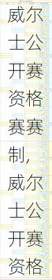 威尔士公开赛资格赛赛制,威尔士公开赛资格赛赛制规则