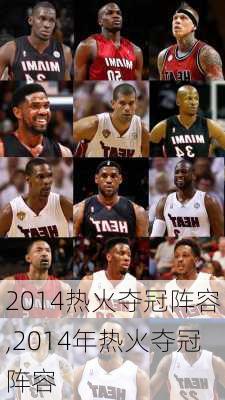 2014热火夺冠阵容,2014年热火夺冠阵容