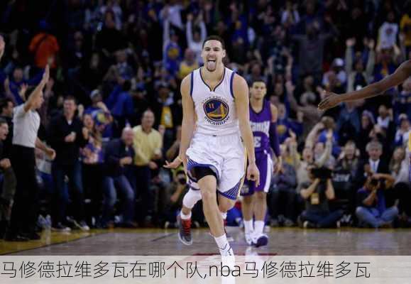马修德拉维多瓦在哪个队,nba马修德拉维多瓦