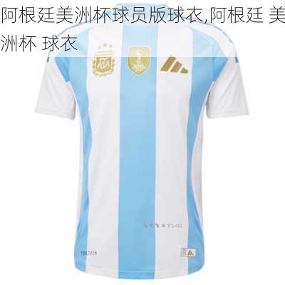 阿根廷美洲杯球员版球衣,阿根廷 美洲杯 球衣