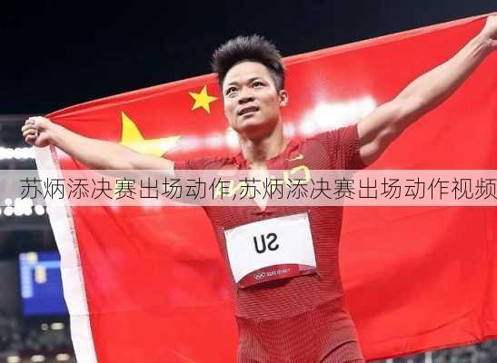 苏炳添决赛出场动作,苏炳添决赛出场动作视频