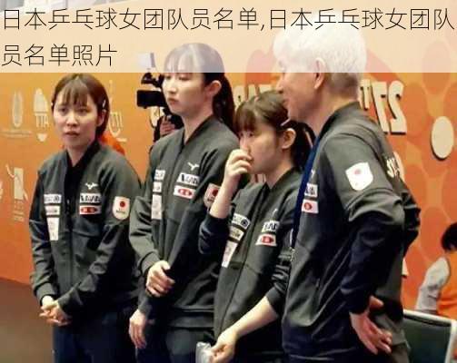 日本乒乓球女团队员名单,日本乒乓球女团队员名单照片