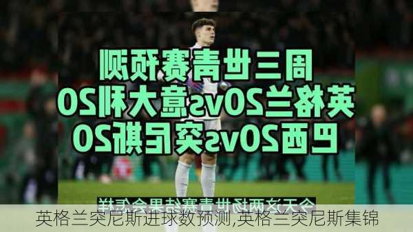 英格兰突尼斯进球数预测,英格兰突尼斯集锦