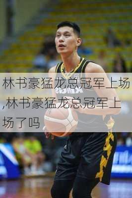 林书豪猛龙总冠军上场,林书豪猛龙总冠军上场了吗