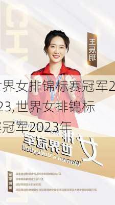 世界女排锦标赛冠军2023,世界女排锦标赛冠军2023年