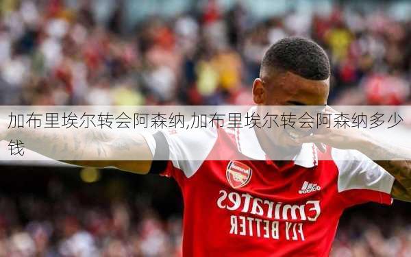 加布里埃尔转会阿森纳,加布里埃尔转会阿森纳多少钱