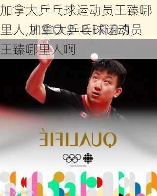 加拿大乒乓球运动员王臻哪里人,加拿大乒乓球运动员王臻哪里人啊