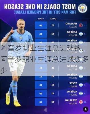 阿奎罗职业生涯总进球数,阿奎罗职业生涯总进球数多少