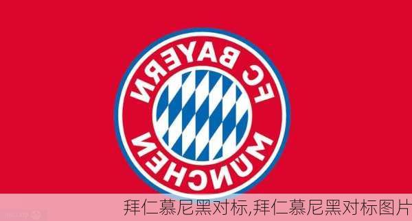 拜仁慕尼黑对标,拜仁慕尼黑对标图片