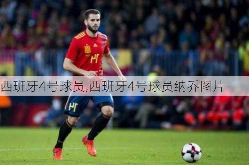西班牙4号球员,西班牙4号球员纳乔图片