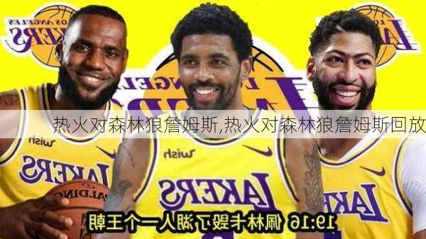 热火对森林狼詹姆斯,热火对森林狼詹姆斯回放
