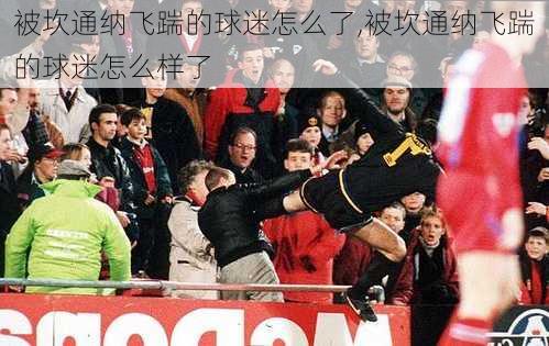 被坎通纳飞踹的球迷怎么了,被坎通纳飞踹的球迷怎么样了