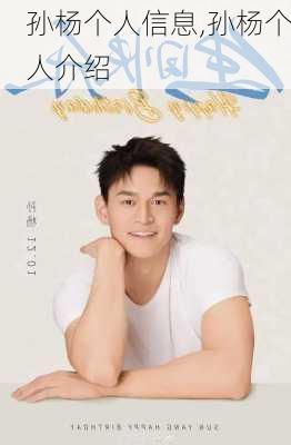 孙杨个人信息,孙杨个人介绍