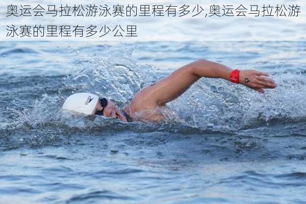 奥运会马拉松游泳赛的里程有多少,奥运会马拉松游泳赛的里程有多少公里