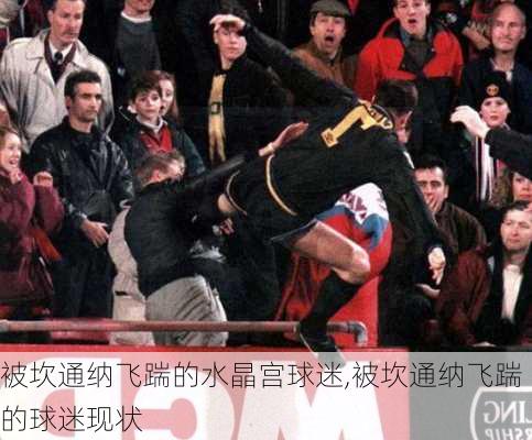 被坎通纳飞踹的水晶宫球迷,被坎通纳飞踹的球迷现状