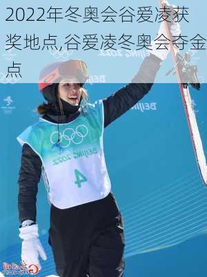 2022年冬奥会谷爱凌获奖地点,谷爱凌冬奥会夺金点