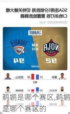 鹈鹕是哪个赛区,鹈鹕是哪个赛区的